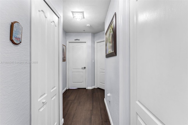 8956 W Flagler St Unit 203, Miami, FL 33174 - corridor with dark wood-style floors and baseboards