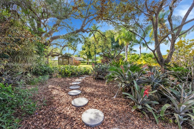15340 SW 82nd Ave, Palmetto Bay, FL 33157 - view of yard