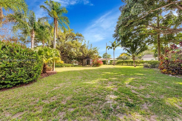 15340 SW 82nd Ave, Palmetto Bay, FL 33157 - view of grassy yard