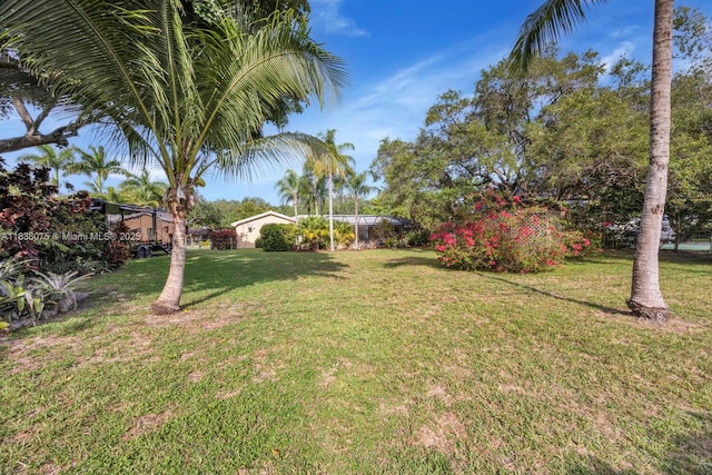 15340 SW 82nd Ave, Palmetto Bay, FL 33157 - view of grassy yard