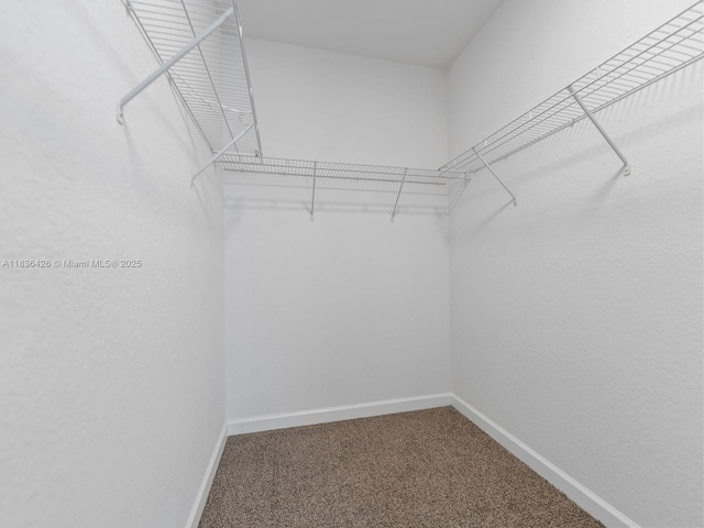 1456 SE 26th Ave, Homestead, FL 33035 - spacious closet with carpet