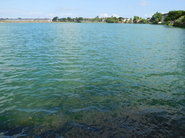 323 Ives Dairy Rd Unit 323-06, Miami, FL 33179 - water view