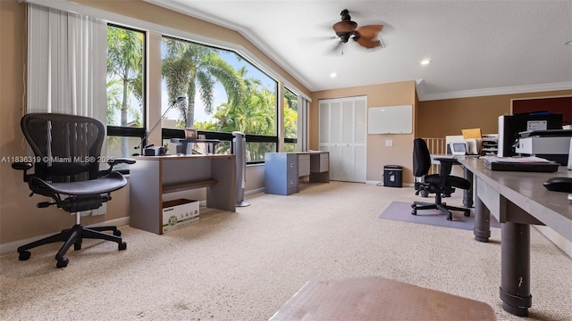 9099 NW 47th Ct, Coral Springs, FL 33067 - carpeted office space featuring crown molding and ceiling fan
