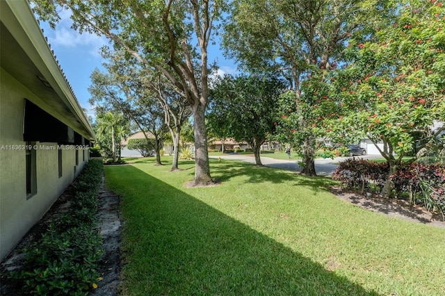 9099 NW 47th Ct, Coral Springs, FL 33067 - view of green lawn