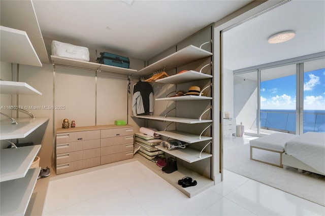 16901 Collins Ave Unit 2702, Sunny Isles Beach, FL 33160 - view of walk in closet