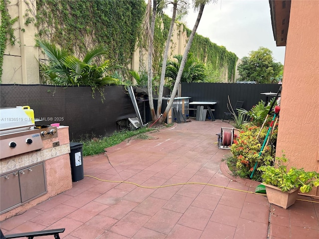 18122 NW 91st Ct, Hialeah, FL 33018 - view of patio with exterior kitchen