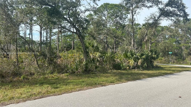 12501 Harlow Ave, Port Charlotte, FL 33953 - photo 2