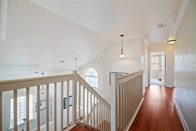 15376 NW 14th Mnr, Pembroke Pines, FL 33028 - hallway with an upstairs landing, plenty of natural light, wood finished floors, vaulted ceiling, and ornamental molding