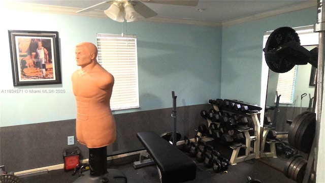 841 NE 139th St, North Miami, FL 33161 - workout room featuring a ceiling fan and ornamental molding