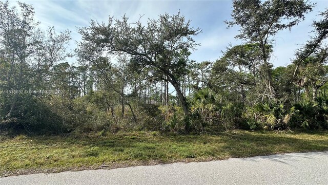 12493 Harlow Ave, Port Charlotte, FL 33953 - photo 4