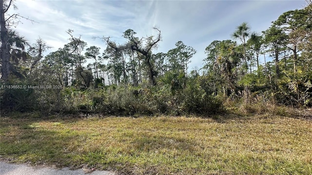 12493 Harlow Ave, Port Charlotte, FL 33953 - photo 5