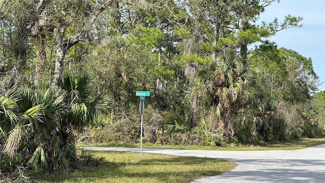 12493 Harlow Ave, Port Charlotte, FL 33953 - photo 6