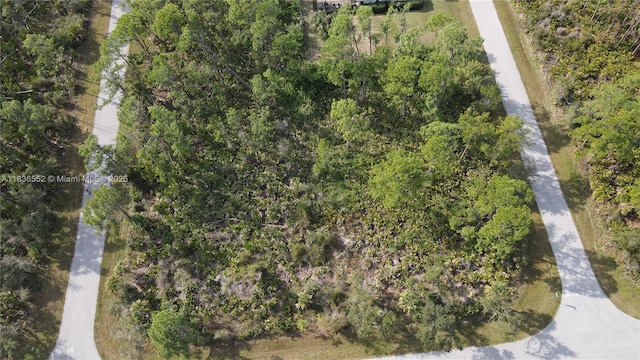 12493 Harlow Ave, Port Charlotte, FL 33953 - photo 7