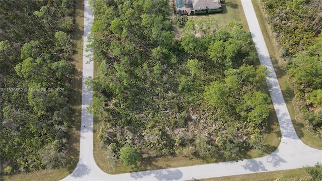 12493 Harlow Ave, Port Charlotte, FL 33953 - photo 9
