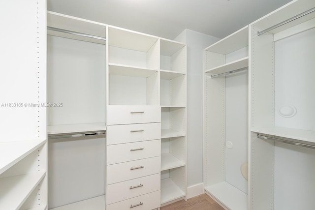 2000 N Bayshore Dr Unit 203, Miami, FL 33137 - spacious closet featuring light wood-style flooring