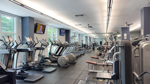2000 N Bayshore Dr Unit 203, Miami, FL 33137 - exercise room with ceiling fan and healthy amount of natural light