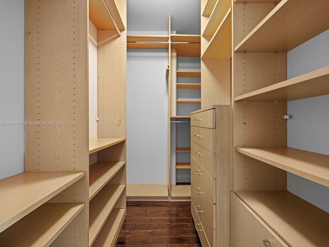 2645 S Bayshore Dr Unit 304, Miami, FL 33133 - walk in closet featuring dark wood-type flooring
