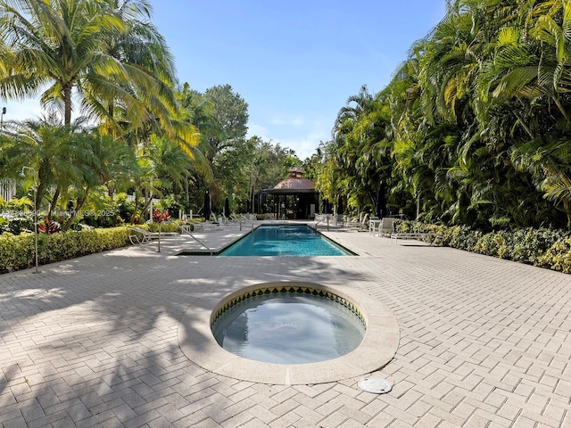 2645 S Bayshore Dr Unit 304, Miami, FL 33133 - community pool with a hot tub, a gazebo, a patio area, and view of scattered trees