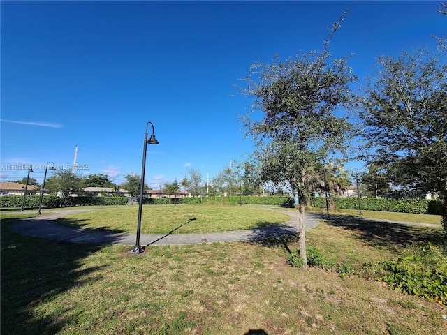 1750 NW 55th Ave Unit 103, Lauderhill, FL 33313 - view of green lawn