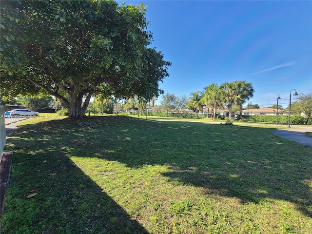 1750 NW 55th Ave Unit 103, Lauderhill, FL 33313 - view of grassy yard