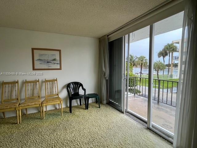 301 Croton Ave Unit 203, Lantana, FL 33462 - living area with light carpet, a water view, and a textured ceiling