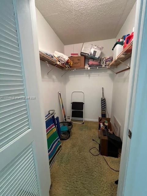 301 Croton Ave Unit 203, Lantana, FL 33462 - spacious closet featuring carpet flooring