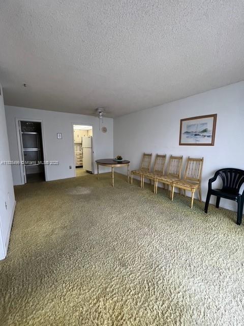 301 Croton Ave Unit 203, Lantana, FL 33462 - carpeted living area featuring a textured ceiling