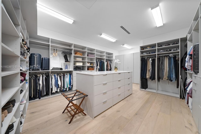 8875 SW 61st Ct, Pinecrest, FL 33156 - walk in closet featuring light wood-style floors