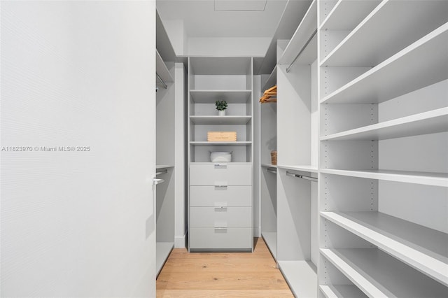 8875 SW 61st Ct, Pinecrest, FL 33156 - walk in closet with light wood-type flooring