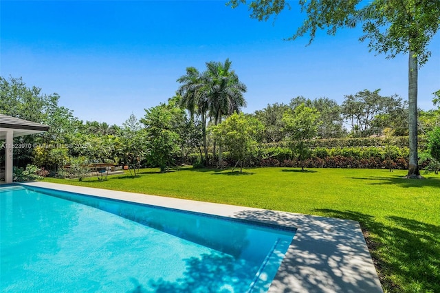 8875 SW 61st Ct, Pinecrest, FL 33156 - outdoor pool featuring a lawn