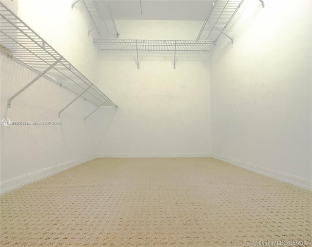 951 Brickell Ave Unit 2405, Miami, FL 33131 - walk in closet featuring carpet flooring