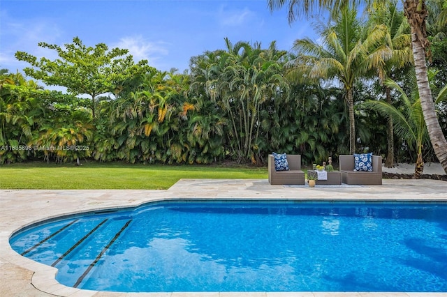 11965 SW 15th Ct, Davie, FL 33325 - outdoor pool featuring a yard and a patio