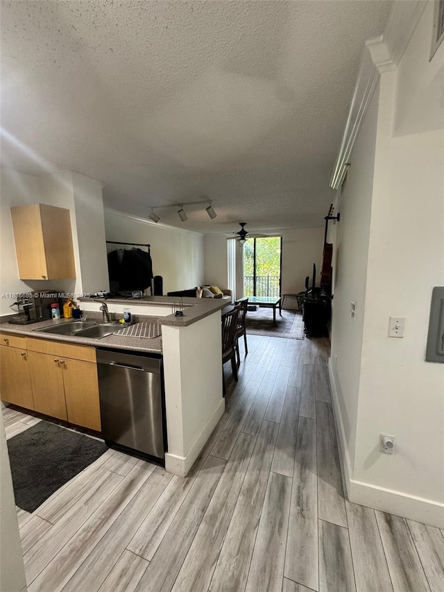 1919 Van Buren St Unit 313A, Hollywood, FL 33020 - photo 11