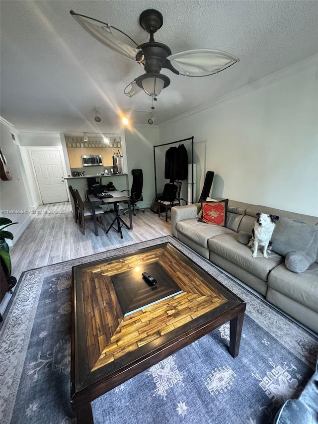 1919 Van Buren St Unit 313A, Hollywood, FL 33020 - photo 13
