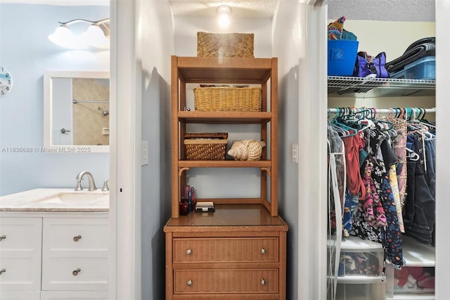 3300 Atlanta St, Hollywood, FL 33021 - spacious closet with a sink