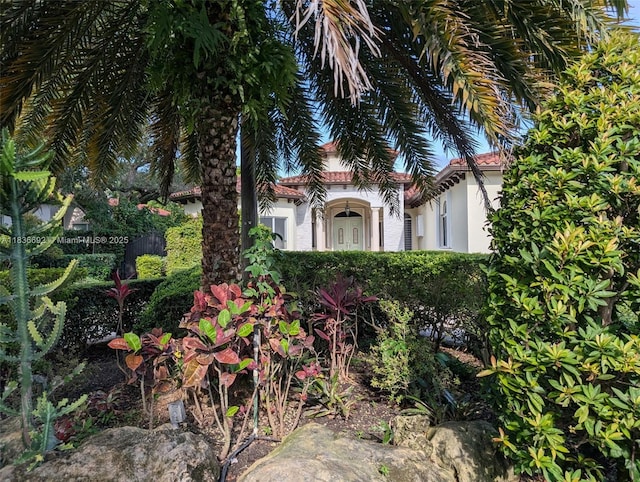13400 SW 83rd Ave, Pinecrest, FL 33156 - photo 44