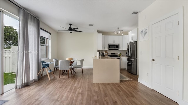 15107 NW 8th St, Pembroke Pines, FL 33028 - kitchen featuring appliances with stainless steel finishes, healthy amount of natural light, and light wood-style floors