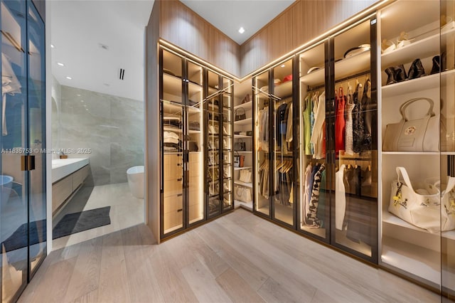 1351 SW 16th St, Miami, FL 33145 - walk in closet with wood finished floors and french doors