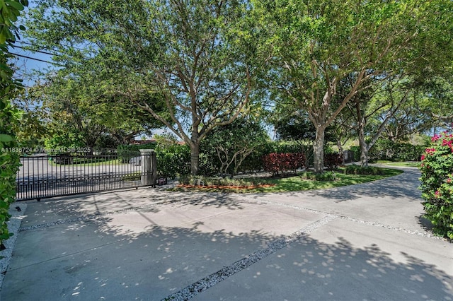 7160 SW 124th St, Pinecrest, FL 33156 - photo 6