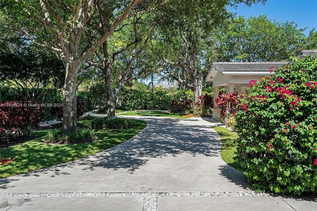 7160 SW 124th St, Pinecrest, FL 33156 - photo 7
