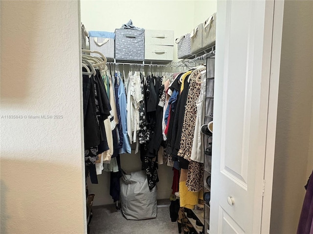 3482 114th Ter, Hialeah, FL 33018 - spacious closet with carpet floors
