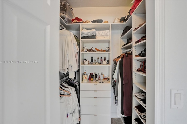 1007 NW 99th Ct, Miami, FL 33172 - view of walk in closet