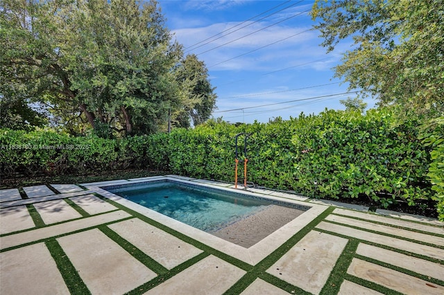 120 NW 41st St, Miami, FL 33127 - view of pool with a patio area and a fenced backyard