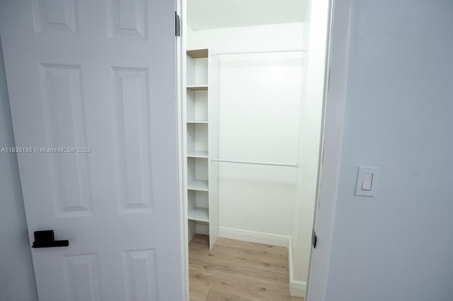 2780 N Pine Island Rd Unit 211, Sunrise, FL 33322 - walk in closet with light wood-type flooring