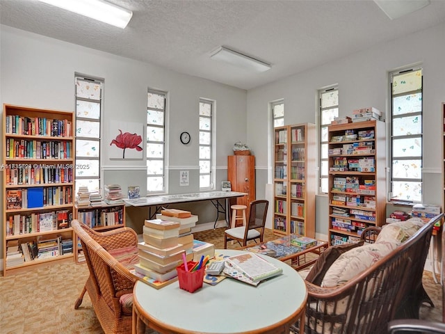 4805 NW 35th St Unit 603, Lauderdale Lakes, FL 33319 - sitting room with carpet flooring and a textured ceiling