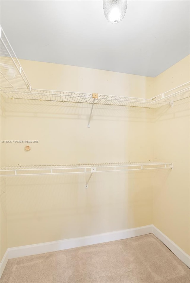 10332 Sunrise Lakes Blvd Unit 206, Sunrise, FL 33322 - walk in closet featuring light carpet