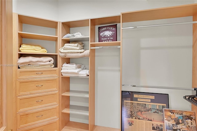 1910 Preston Trl, Coral Springs, FL 33071 - view of walk in closet