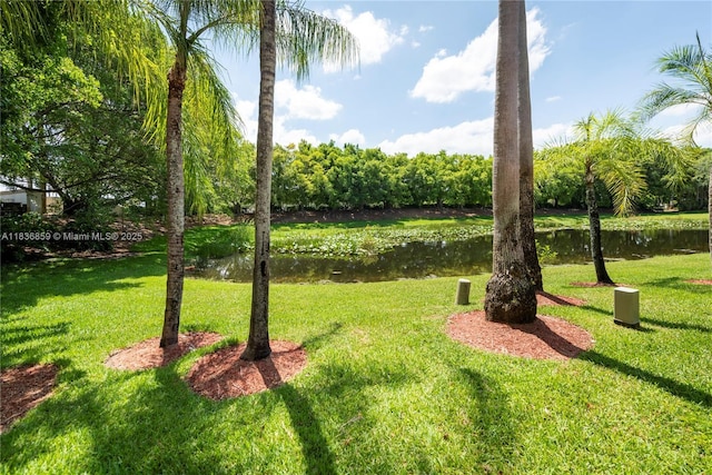 1606 Veracruz Ln, Weston, FL 33327 - view of green lawn with a water view