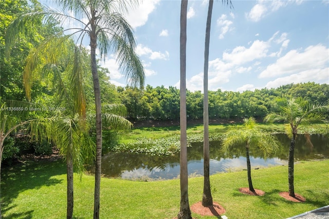 1606 Veracruz Ln, Weston, FL 33327 - water view