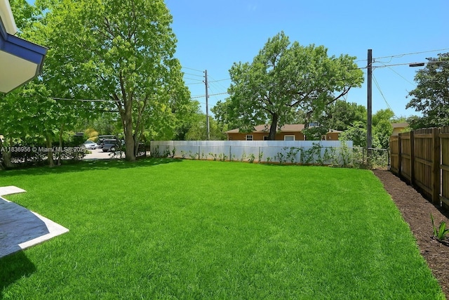 990 NE 159th St, North Miami Beach, FL 33162 - view of yard